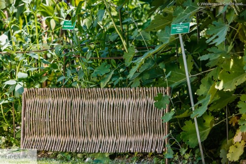 Papillon Sichtschutzelement aus Weide mit Rahmen 140cm x 180cm x 3,5cm 